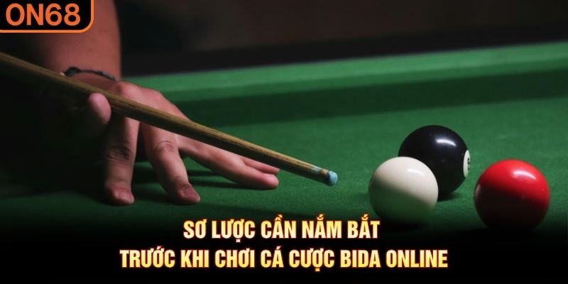 Sơ lược cần nắm bắt trước khi chơi c&aacute; cược bida online